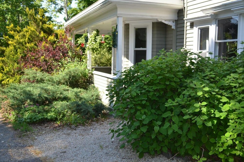 Фото Red Mahone Bed & Breakfast