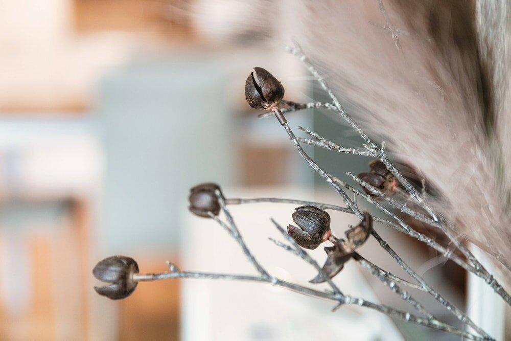 Фото Pazzallo Apartments