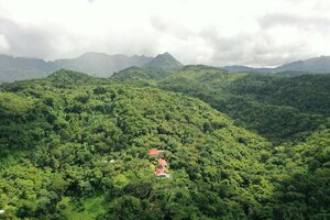 Гостиница Mount Edgecombe Boutique Hotel