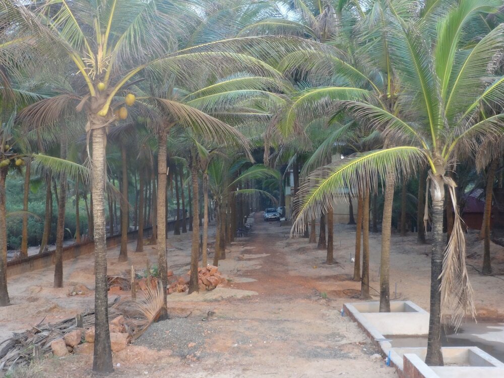 Фото Gk Beach Resort