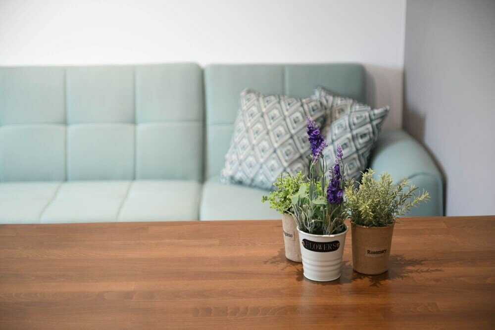 Фото Orion Eco Suites