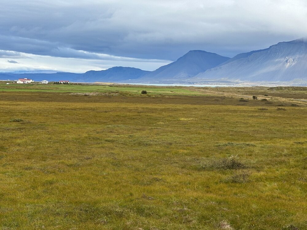 Фото Selið Farm Stay Guesthouse