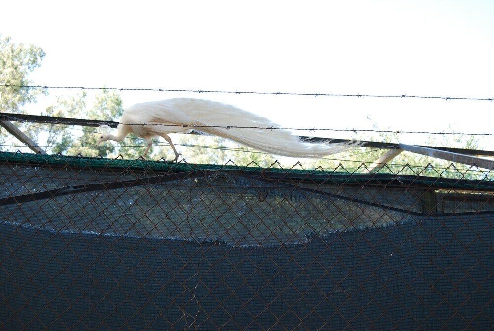 Фото Vivienda Rural el Retorno