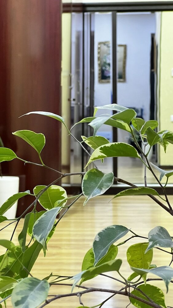 Фото 162592379069