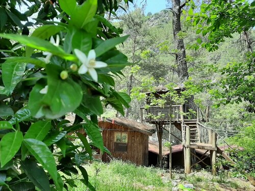Гостиница Olympos Altaris Pansiyon в Кумлудже