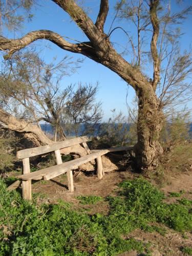 Фото Hotel Paradisos Oia
