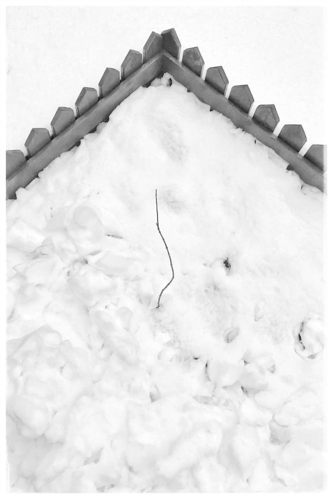 Фото Csdy Guesthouse