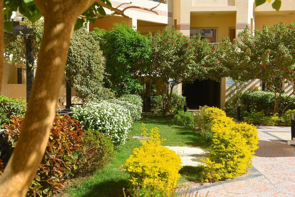 Фото Florenza Khamsin