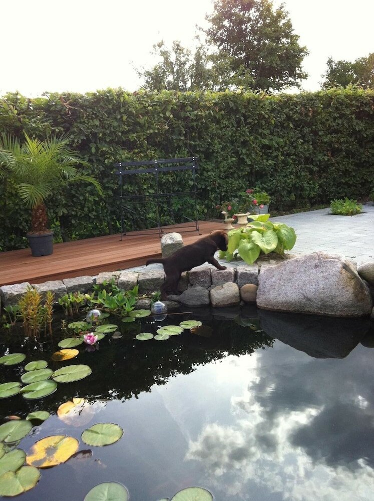 Фото Bed & Breakfast Horsens Udsigten