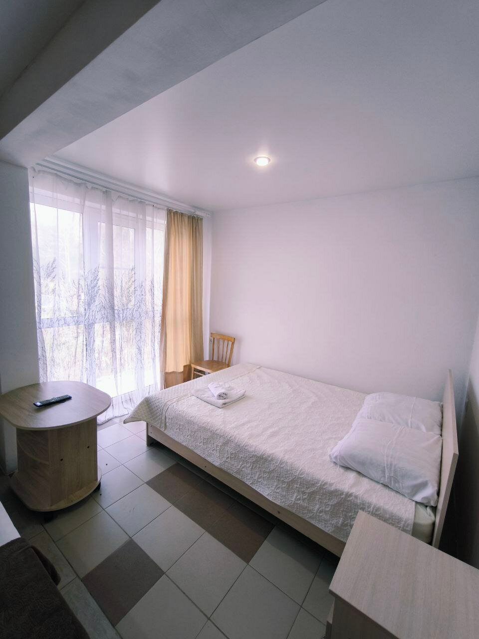 Фото Пальма