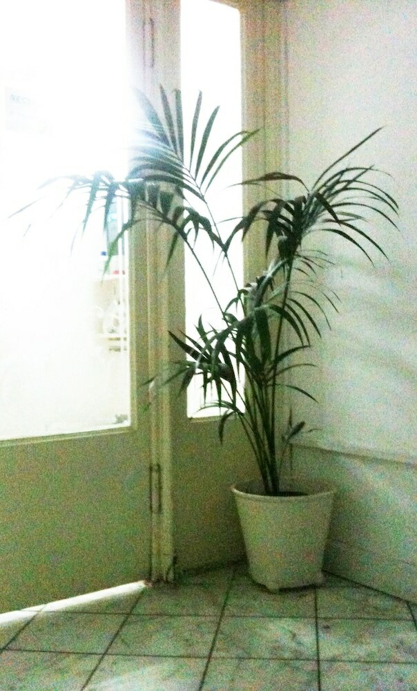 Фото The Studenthostel Utrecht