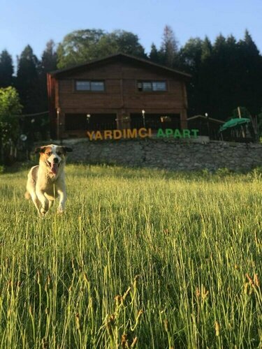 Гостиница Ayder Yardımcı Apart в Чамлыхемшине