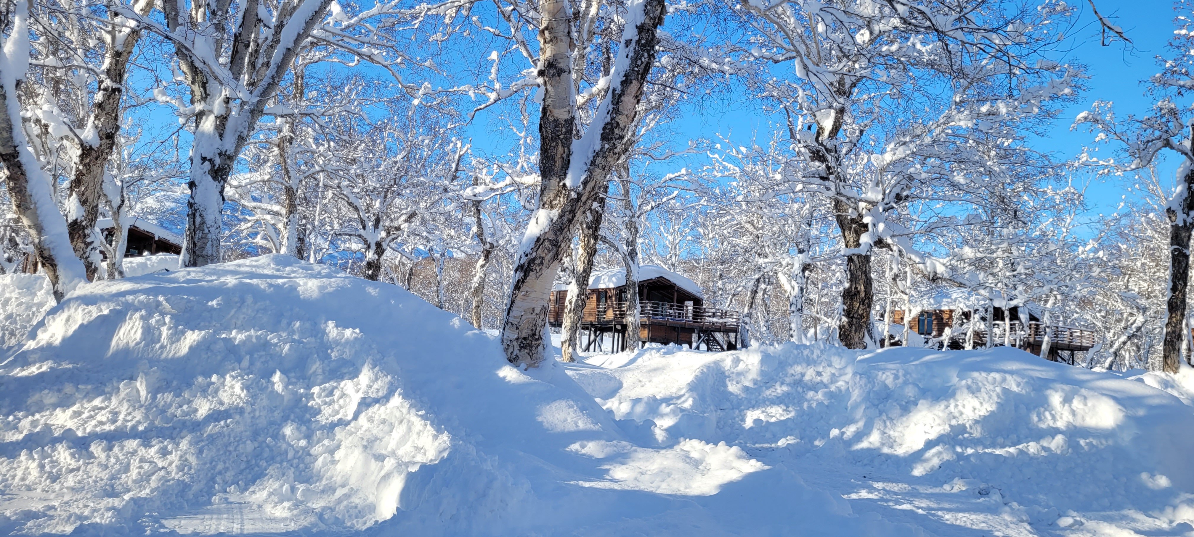 Фото Камчатка Форест Лодж