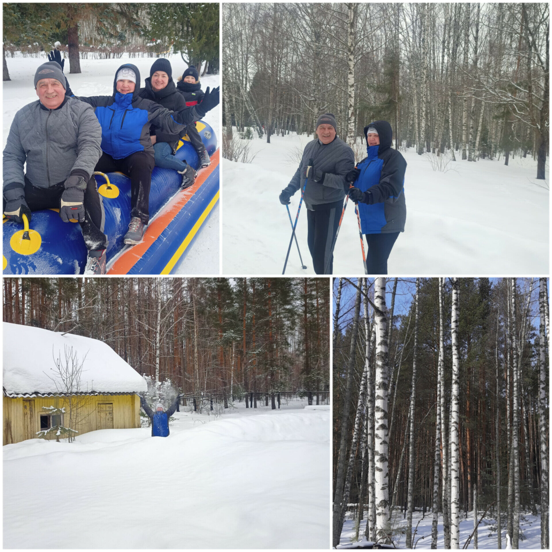 Фото Буревестник