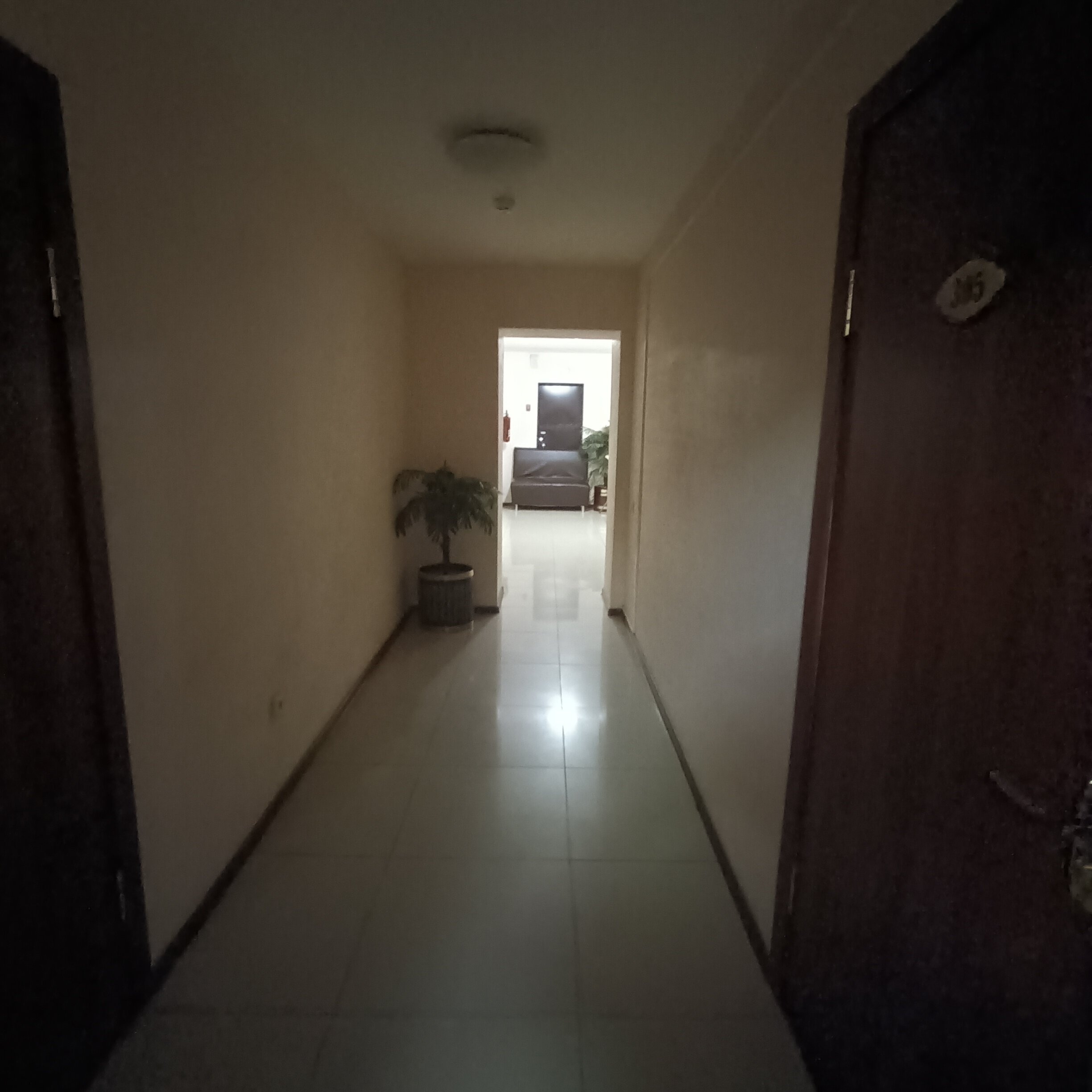 Фото Триумф