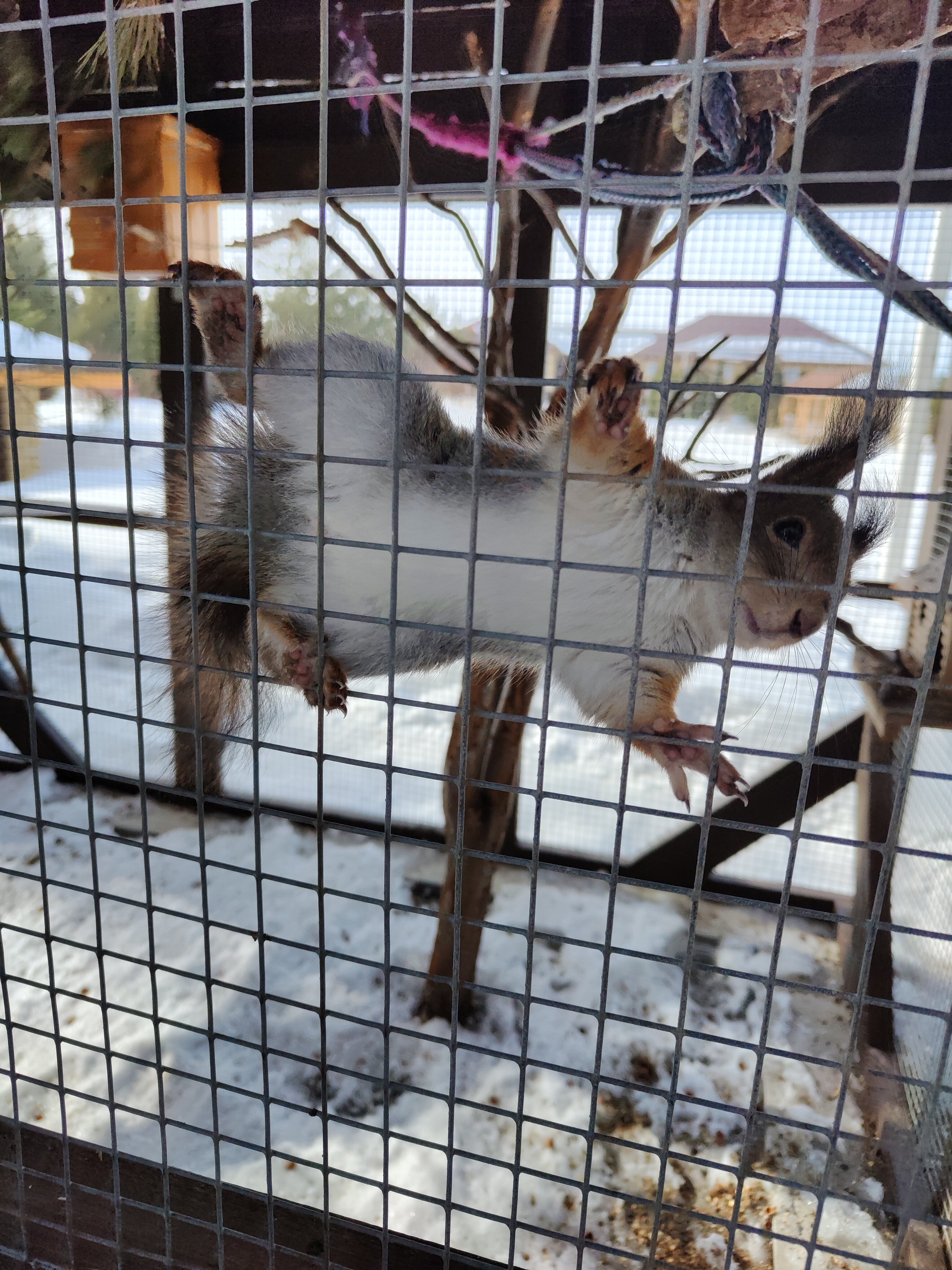 Фото Парк-отель История