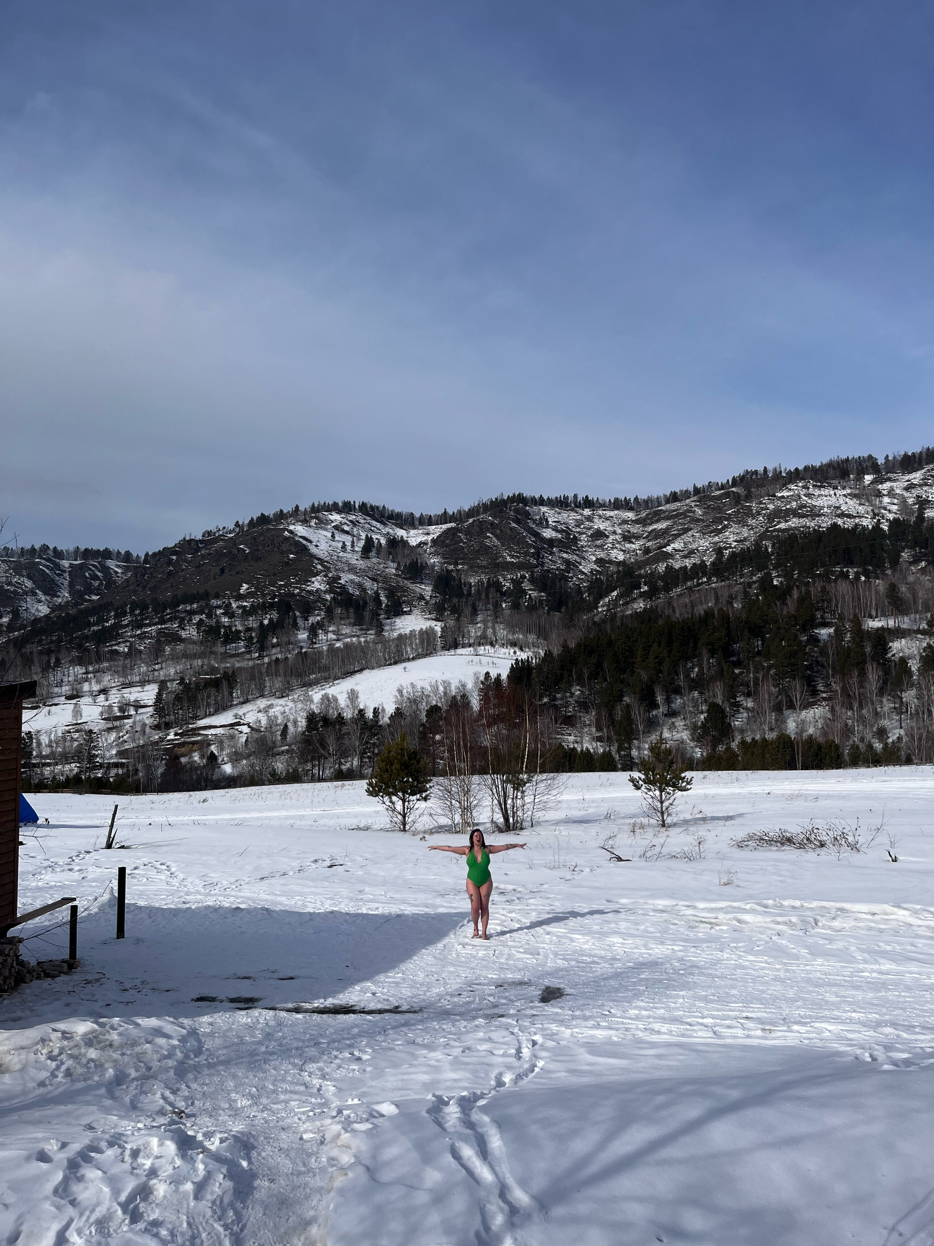 Фото Чайное гнёздышко