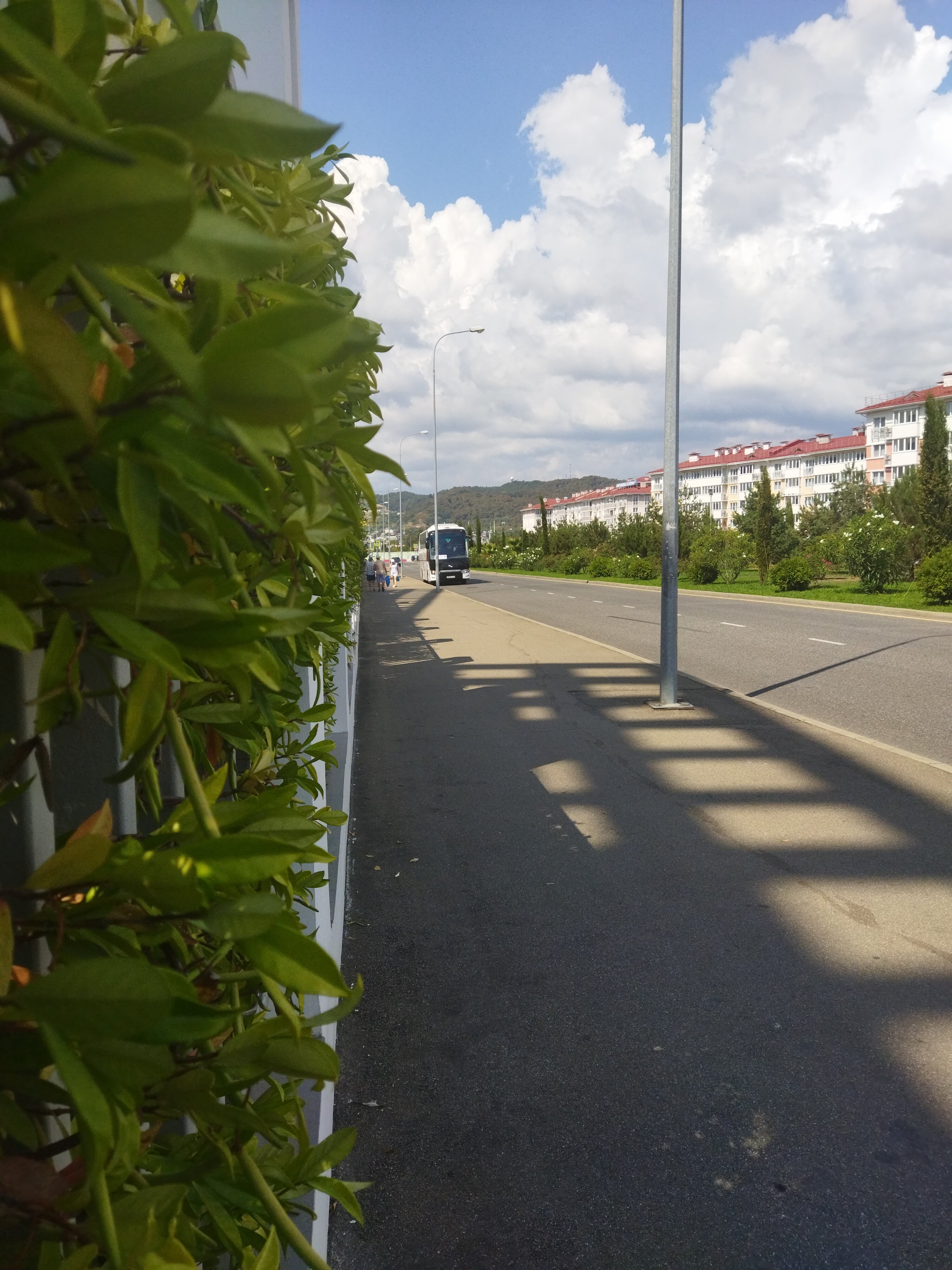 Фото Фортуна