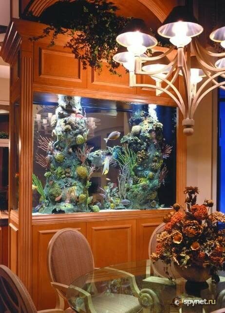 Pet shop Neptun, Almaty, photo