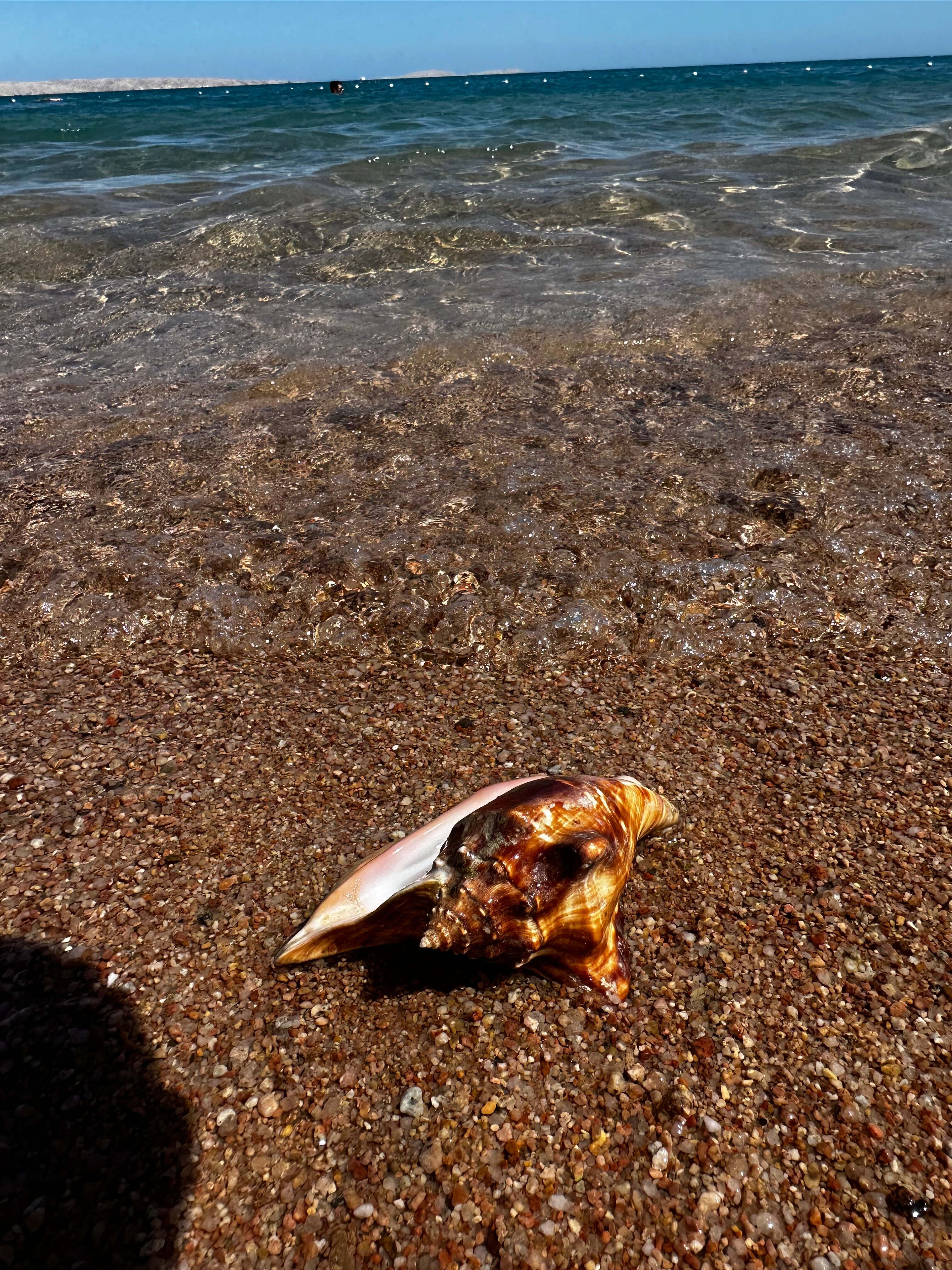 Фото Serry Beach Resort