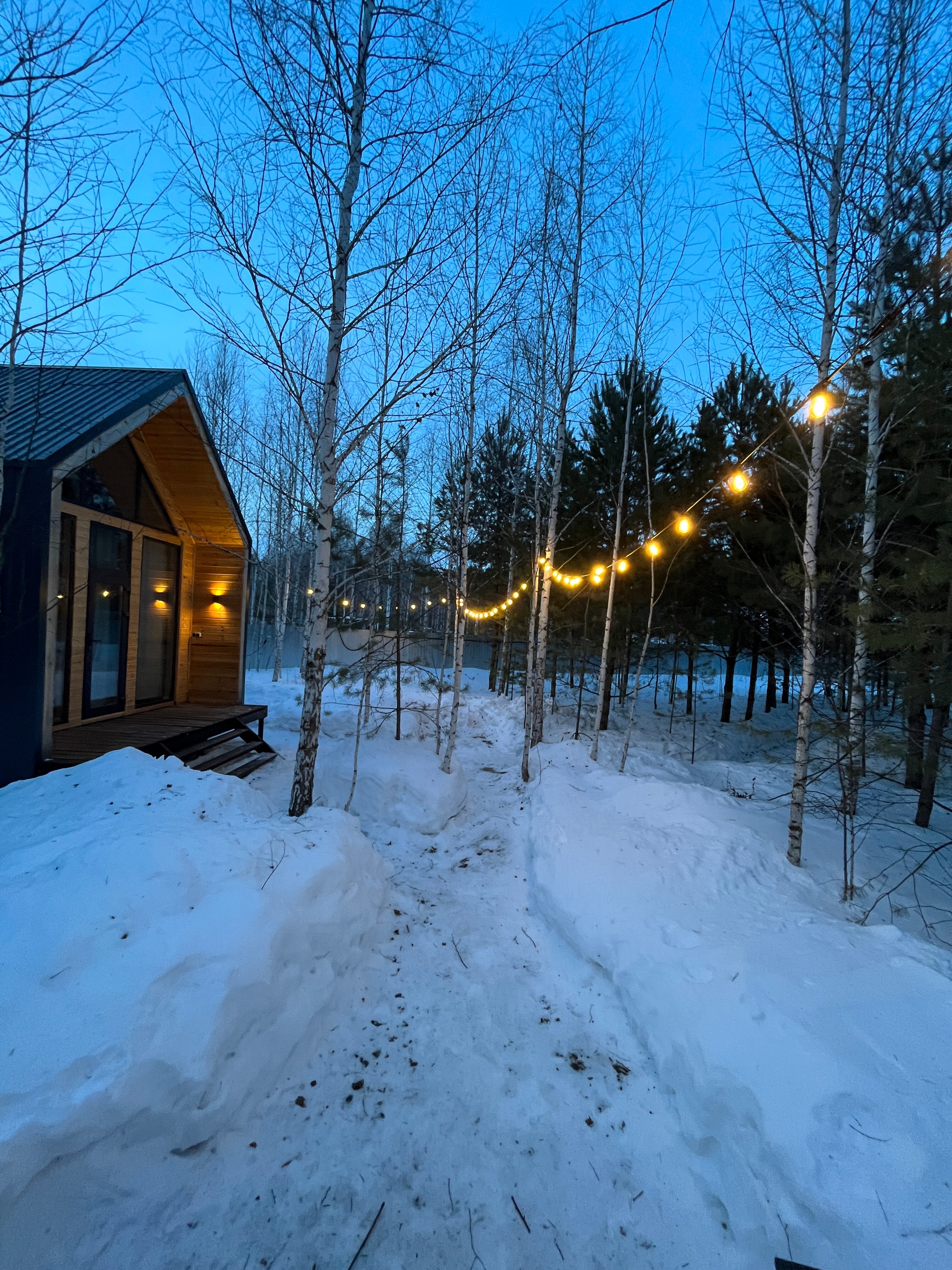 Фото Форест Барн