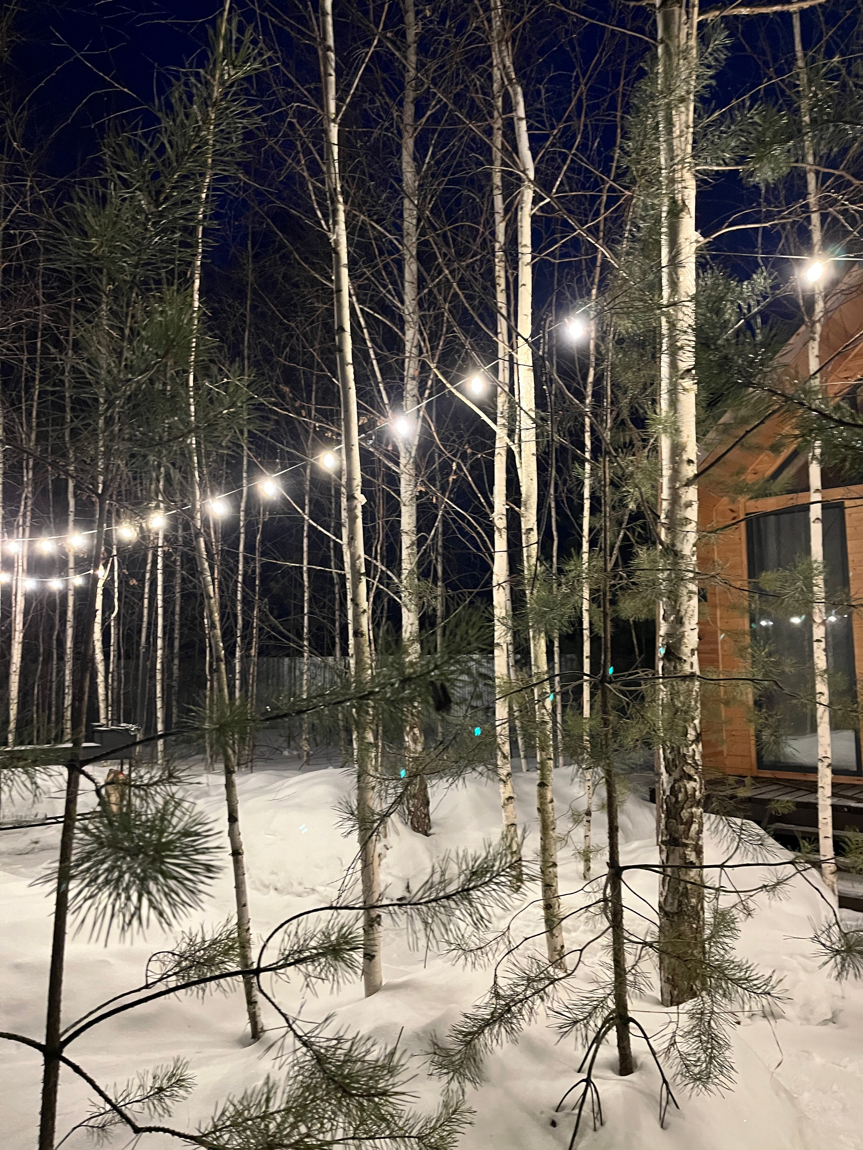 Фото Форест Барн