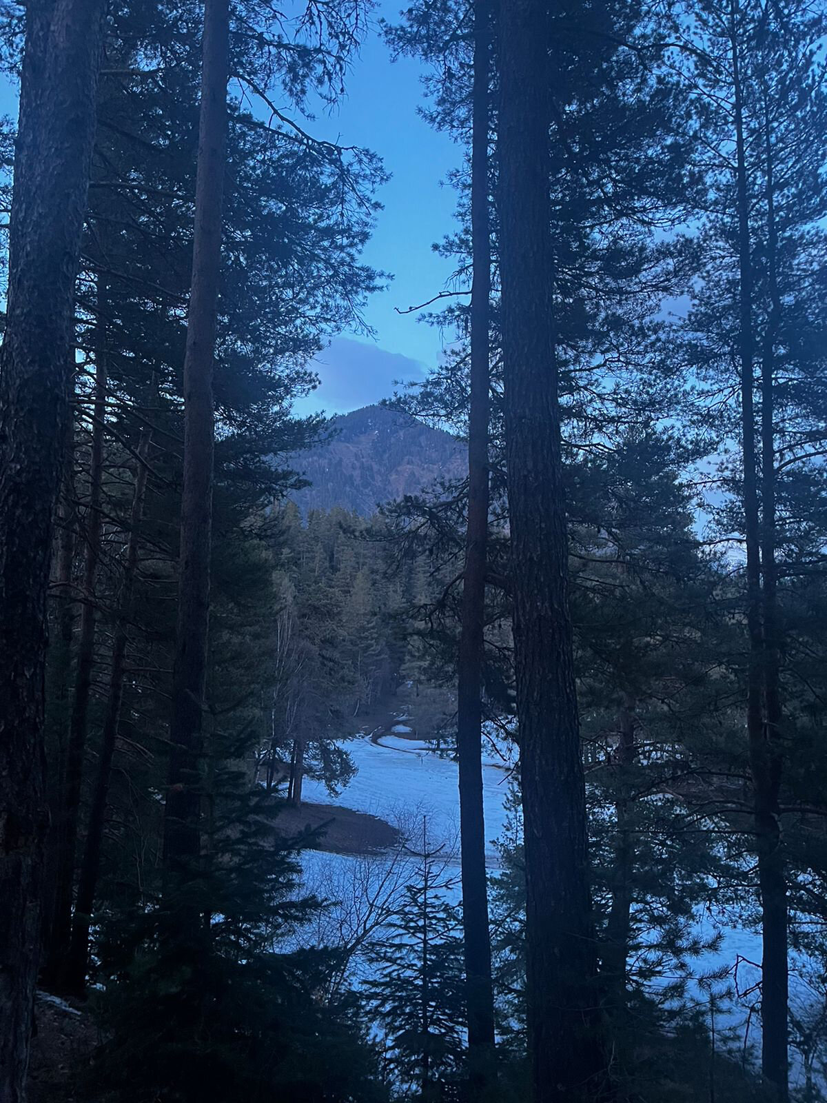 Фото Тихое Место