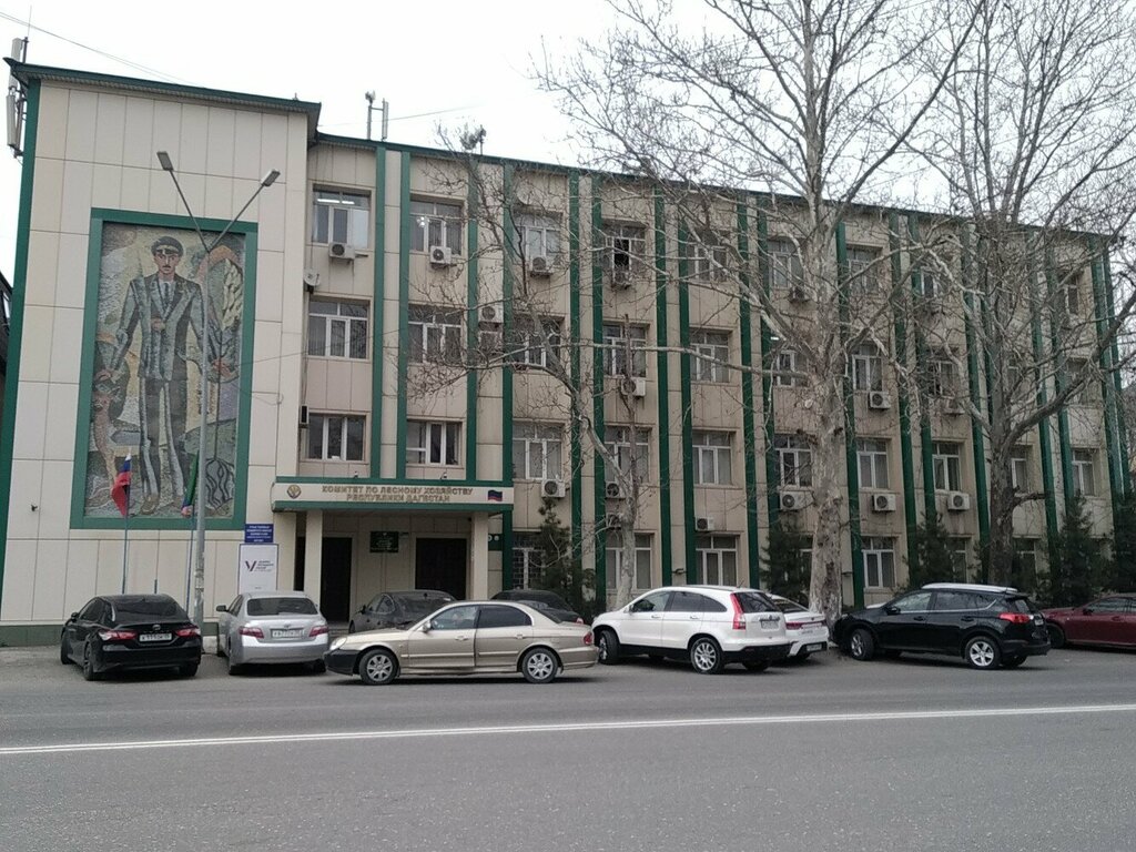 Forest management, reforestation Filial Fbu Roslesozashchita Tsentr zashchity lesa respubliki Dagestan, Makhachkala, photo