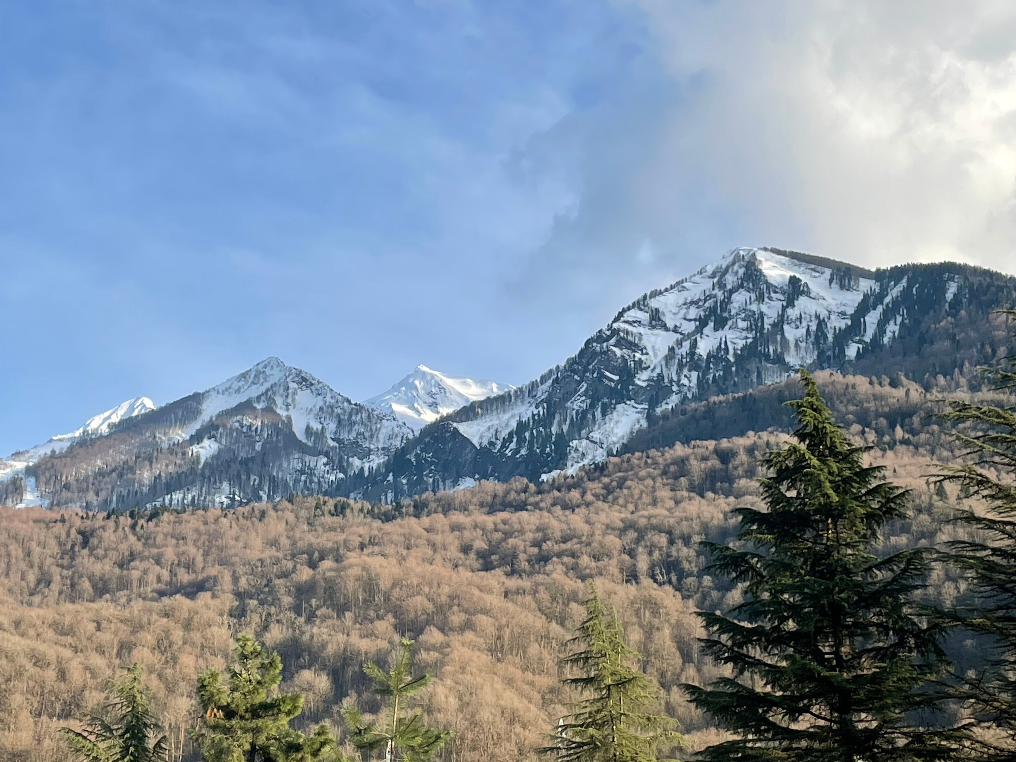 Фото Форрест