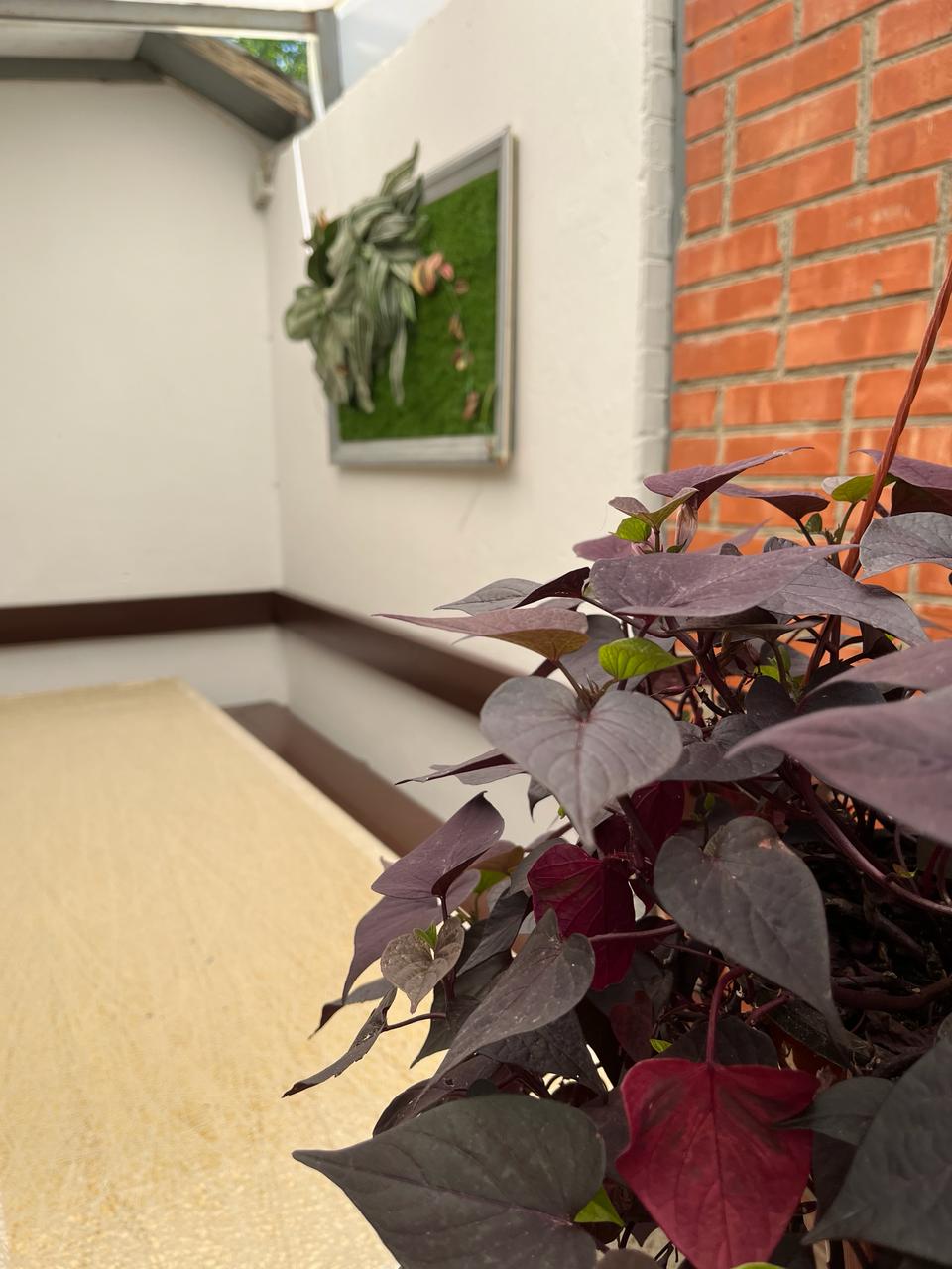 Фото КорМал