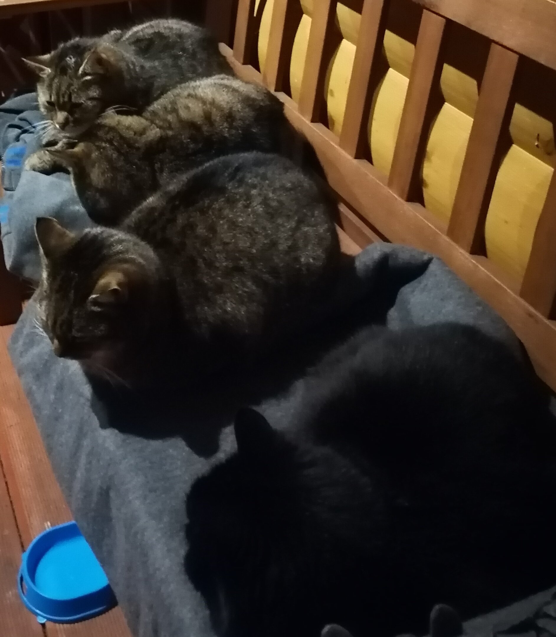 Фото Псковские дали