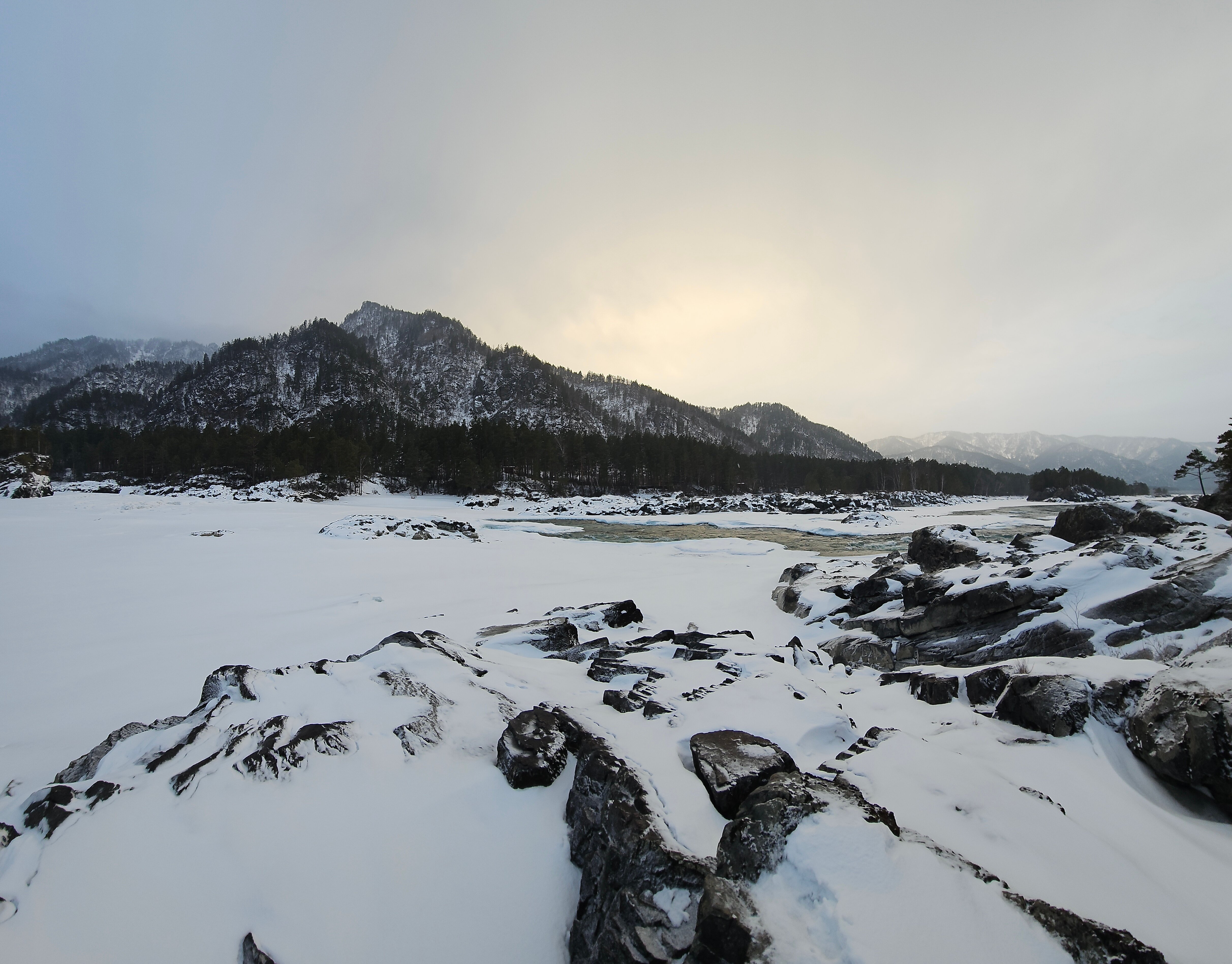 Фото Кедровый остров