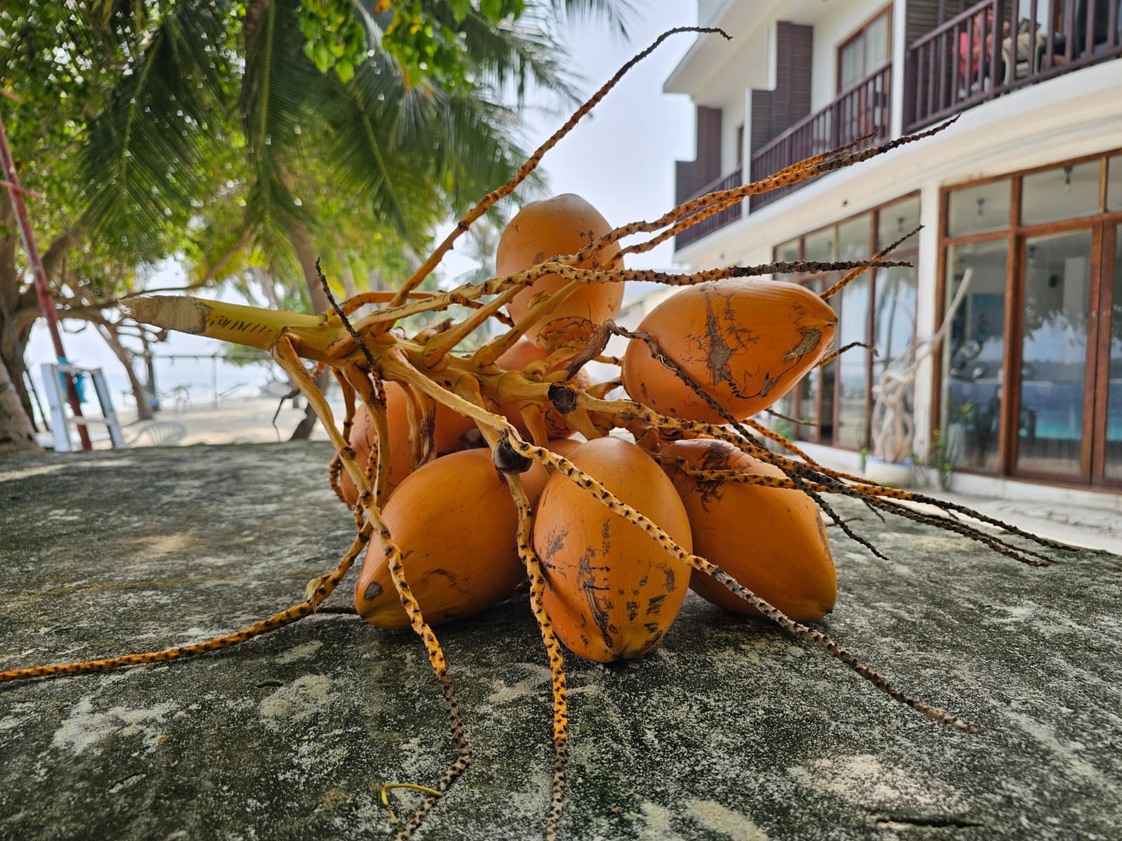 Фото Dhonfulhafi Beach View & SPA