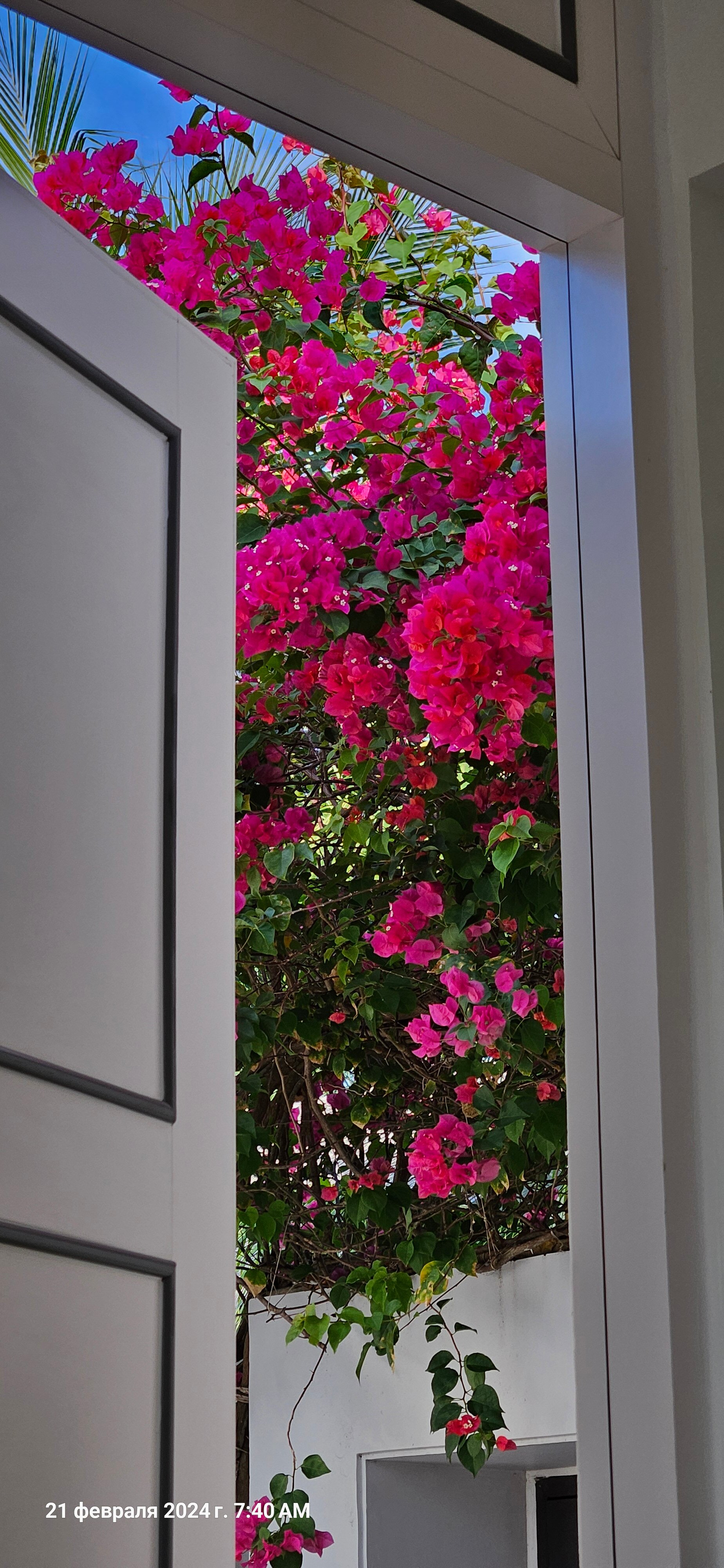 Фото New World Phu Quoc Resort