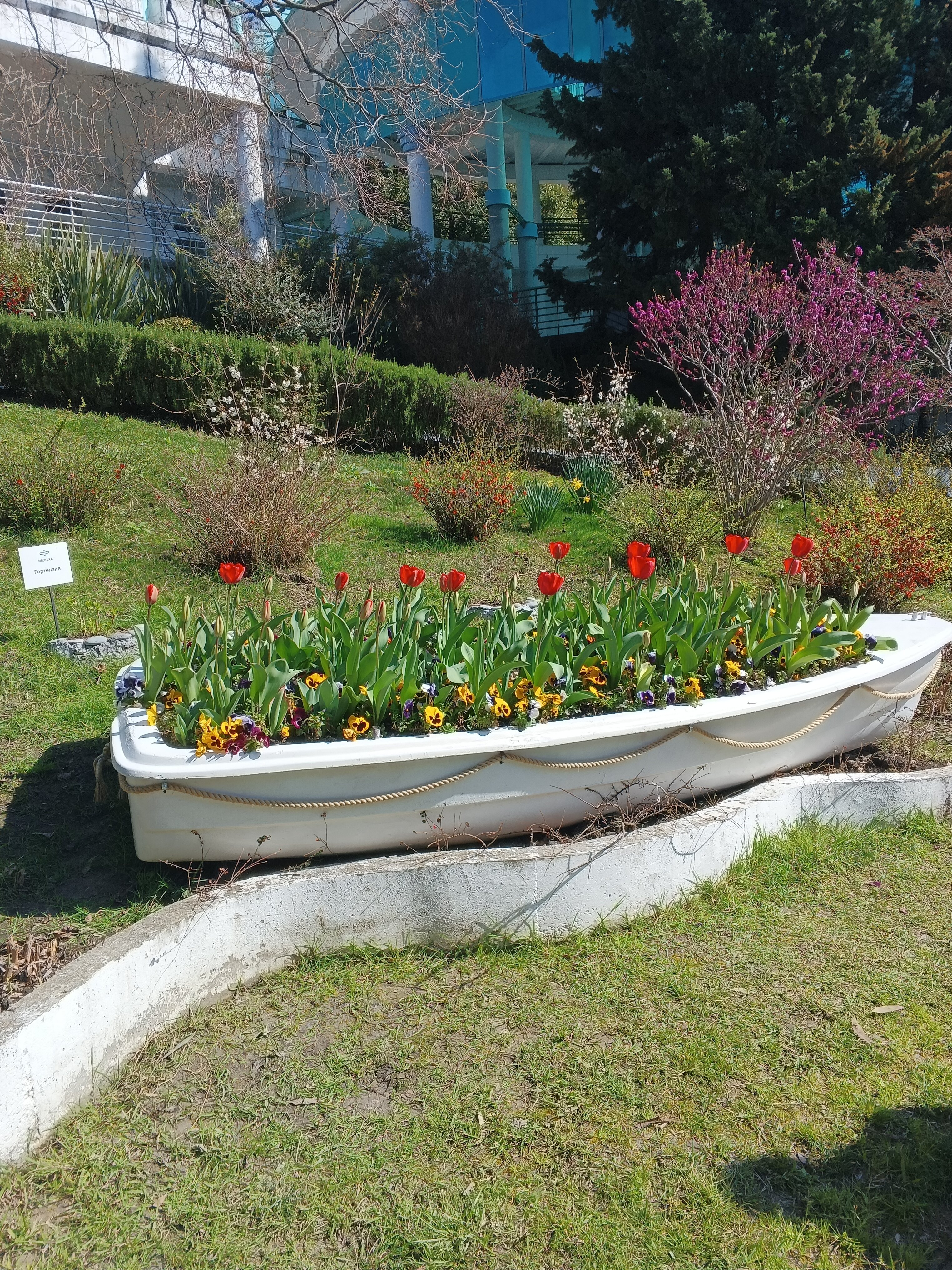 Фото Azimut Здоровье Ивушка