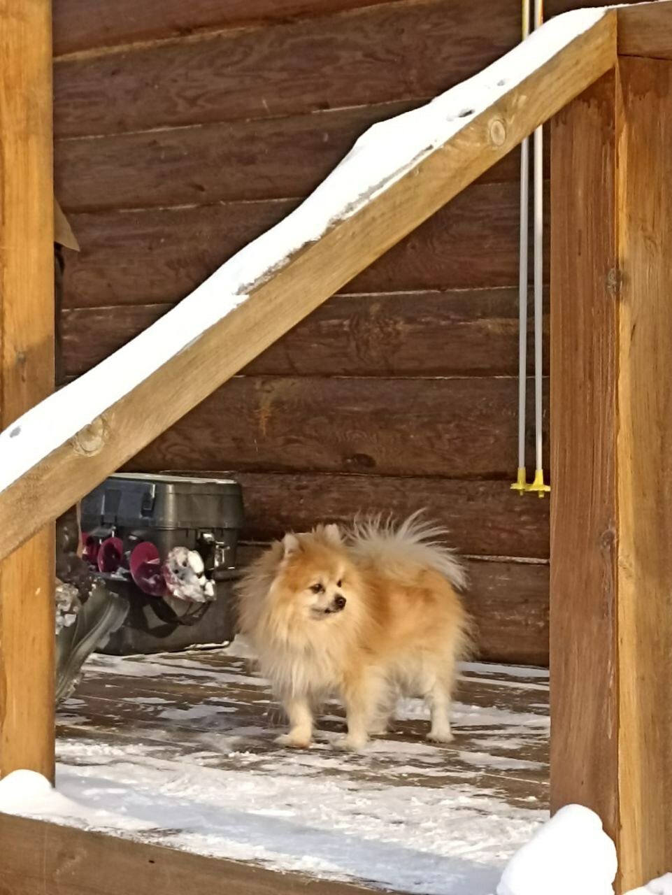 Фото Рыболовная база Ершиха