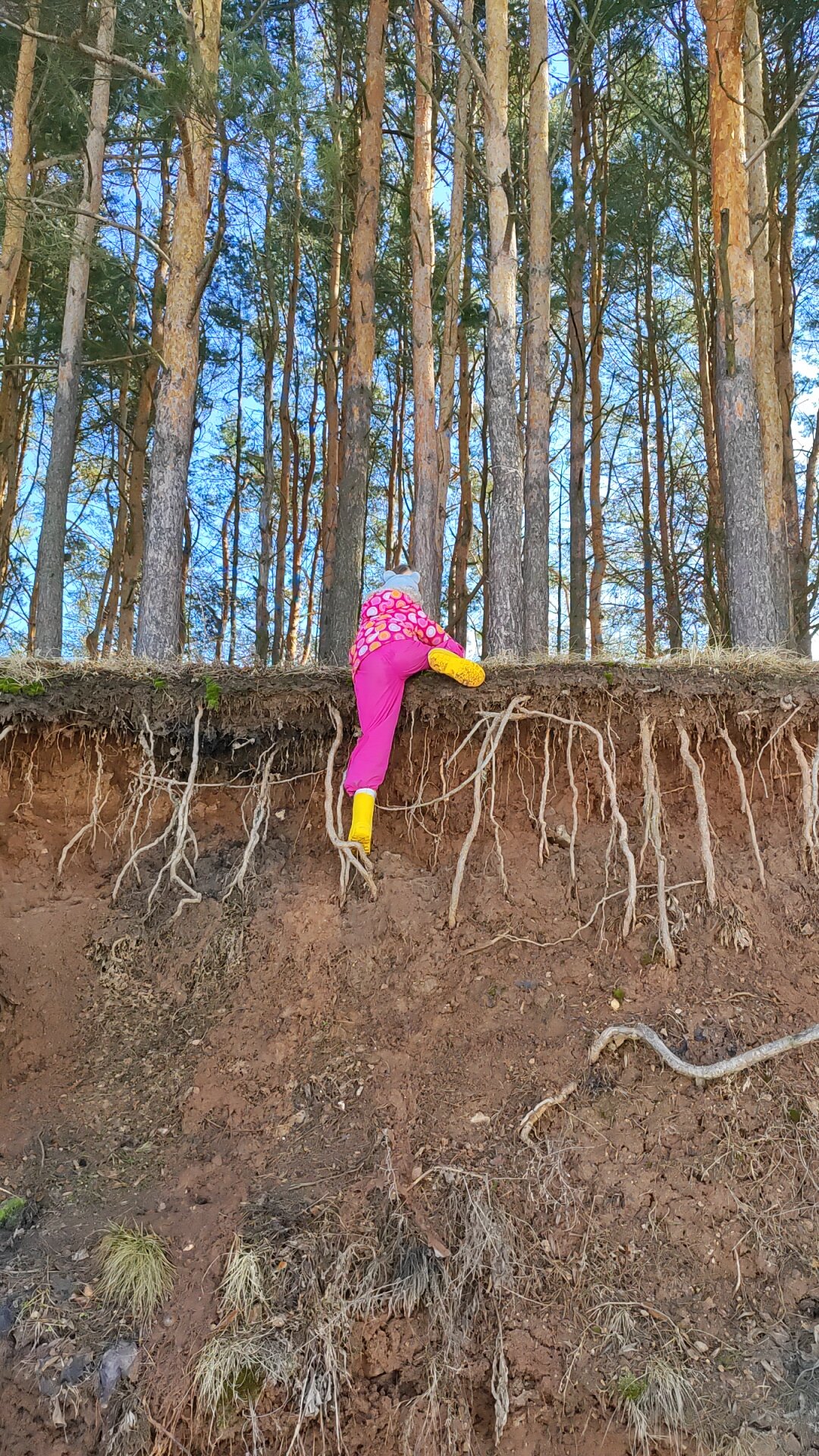 Фото ЛаДача