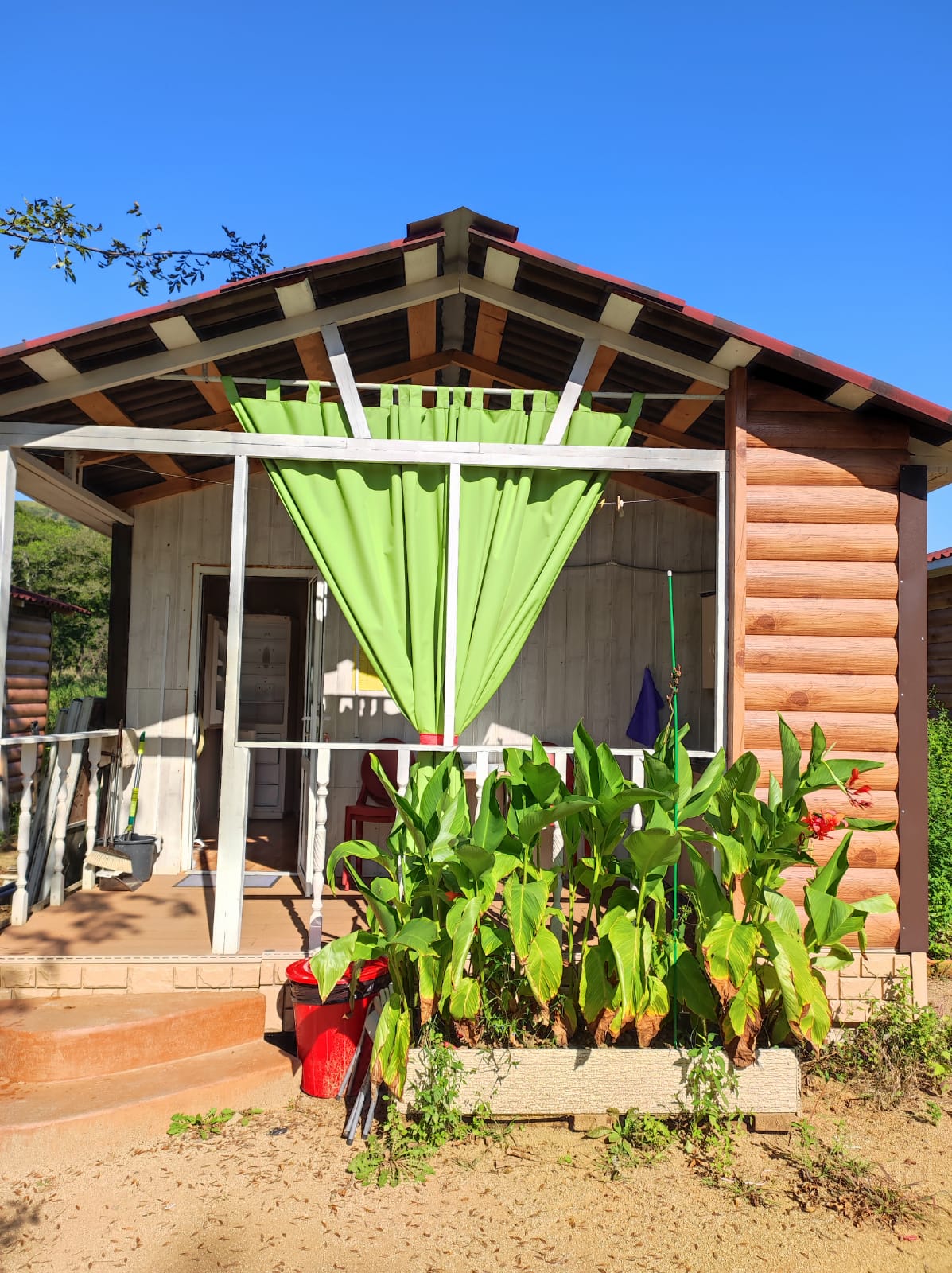 Фото Лесной дворик