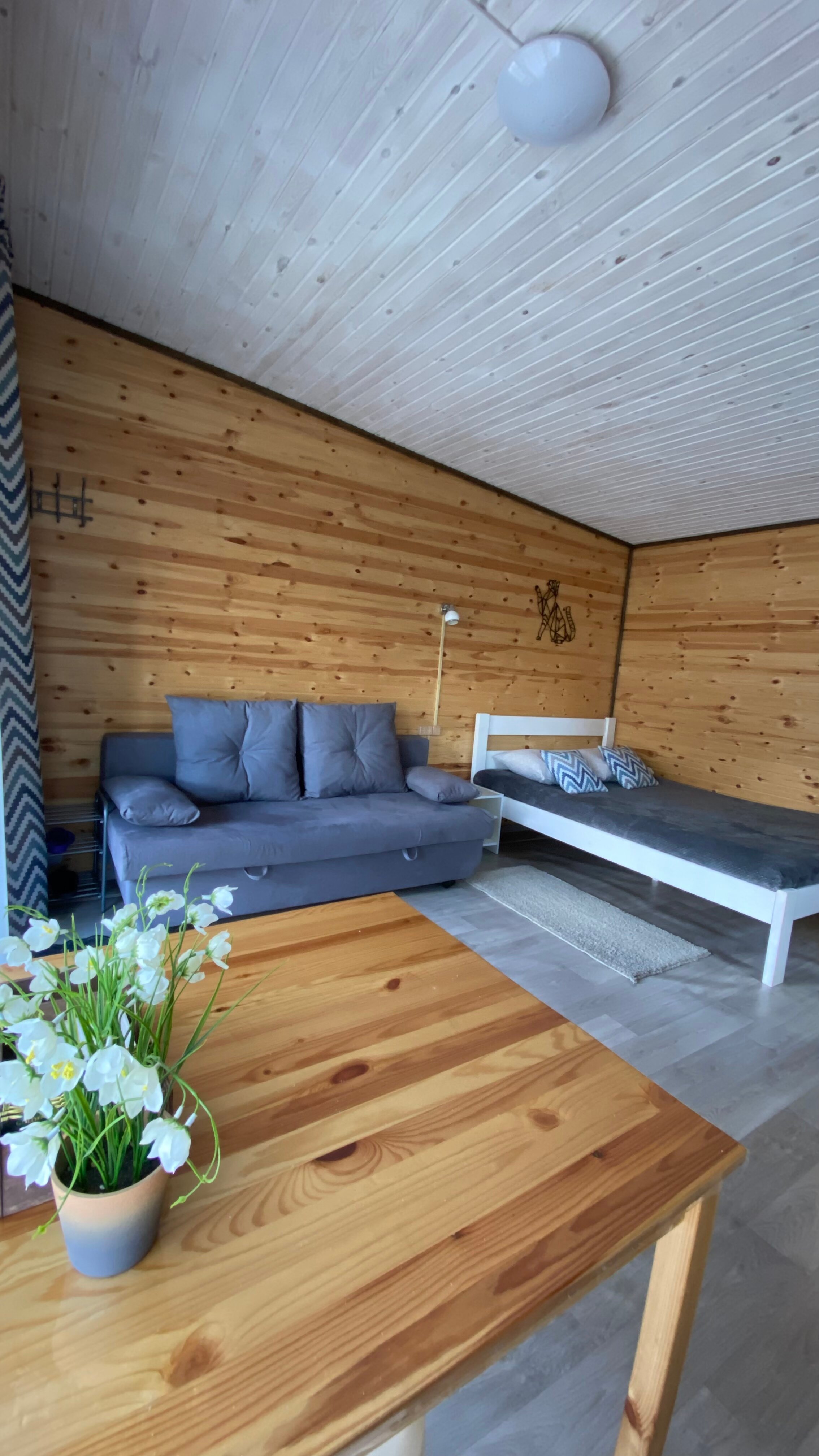 Фото Шишкин лес