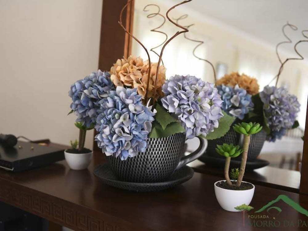 Фото Pousada Morro da Palha