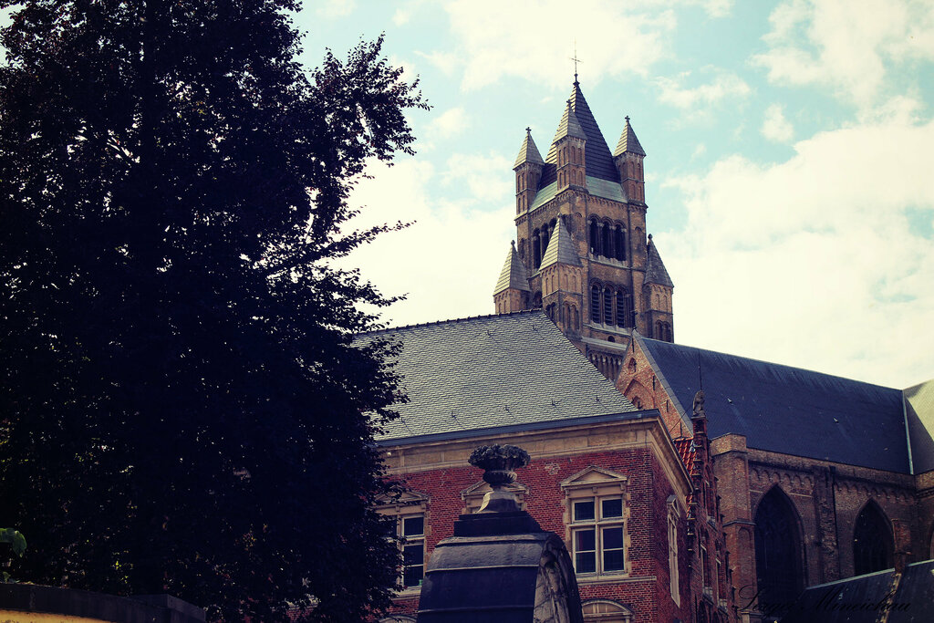 Catholic church Собор святого Сальватора, Bruges, photo