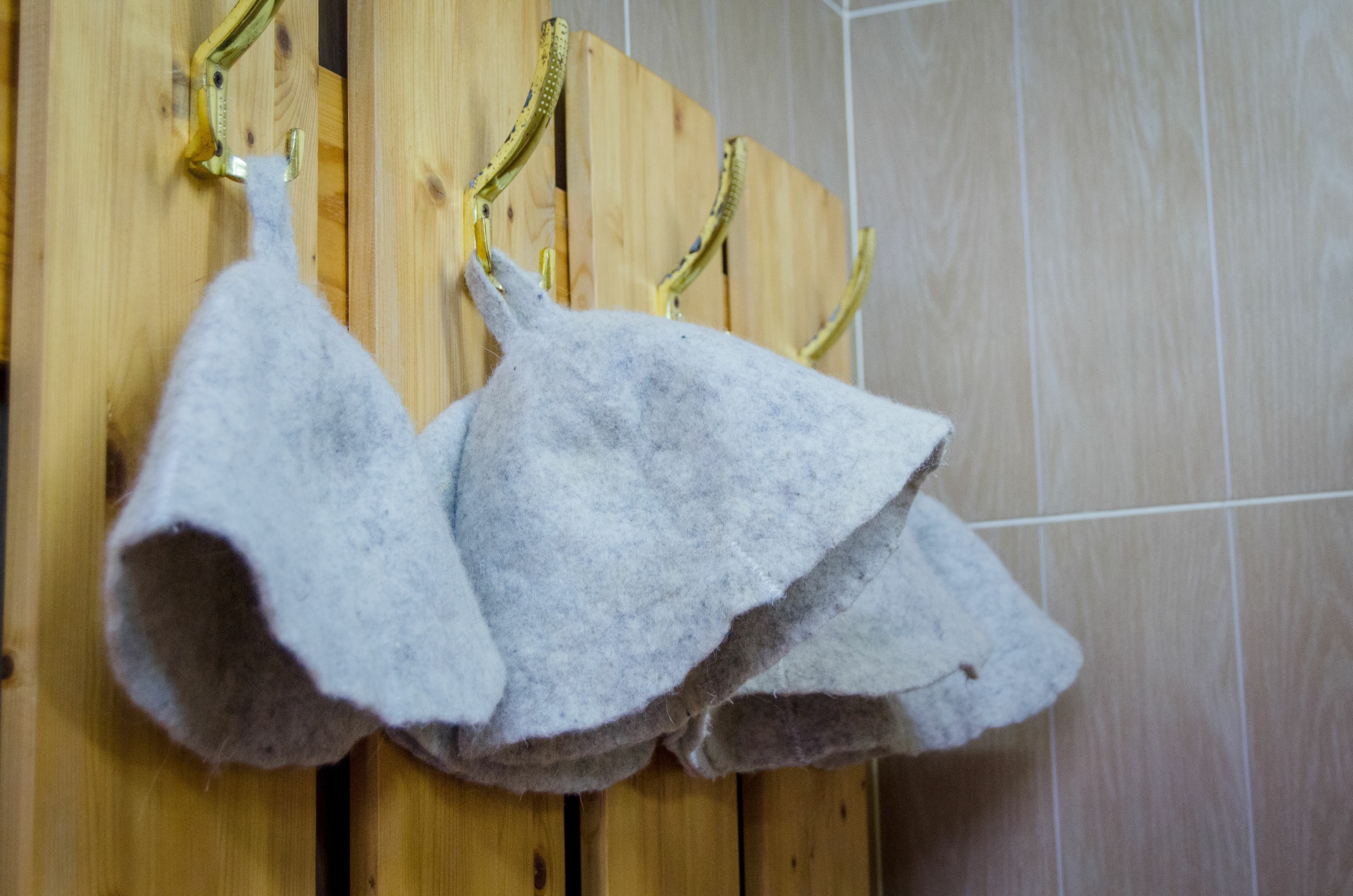 Фото Берёзовая роща