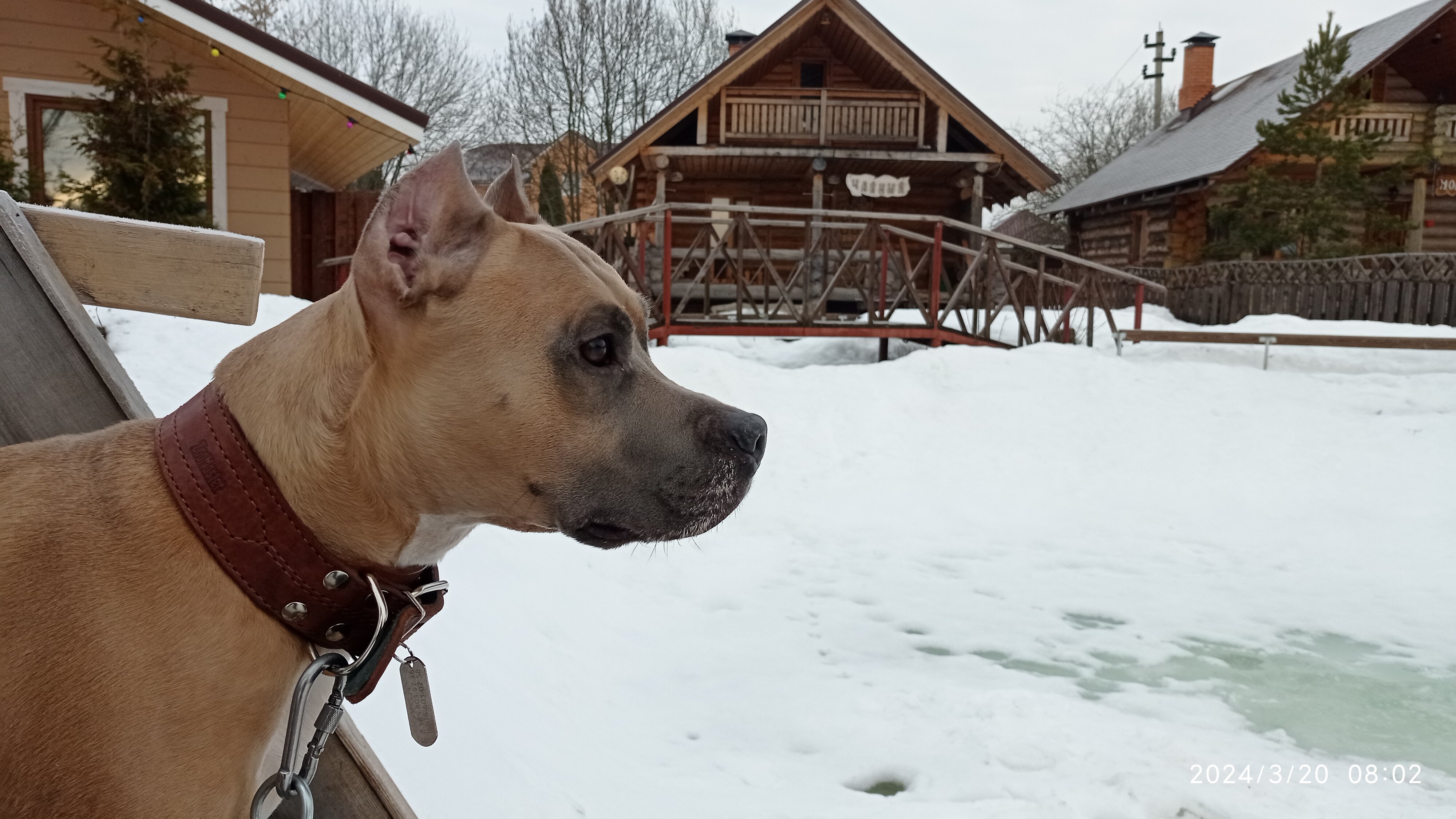 Фото Эко деревня Печки-Лавочки