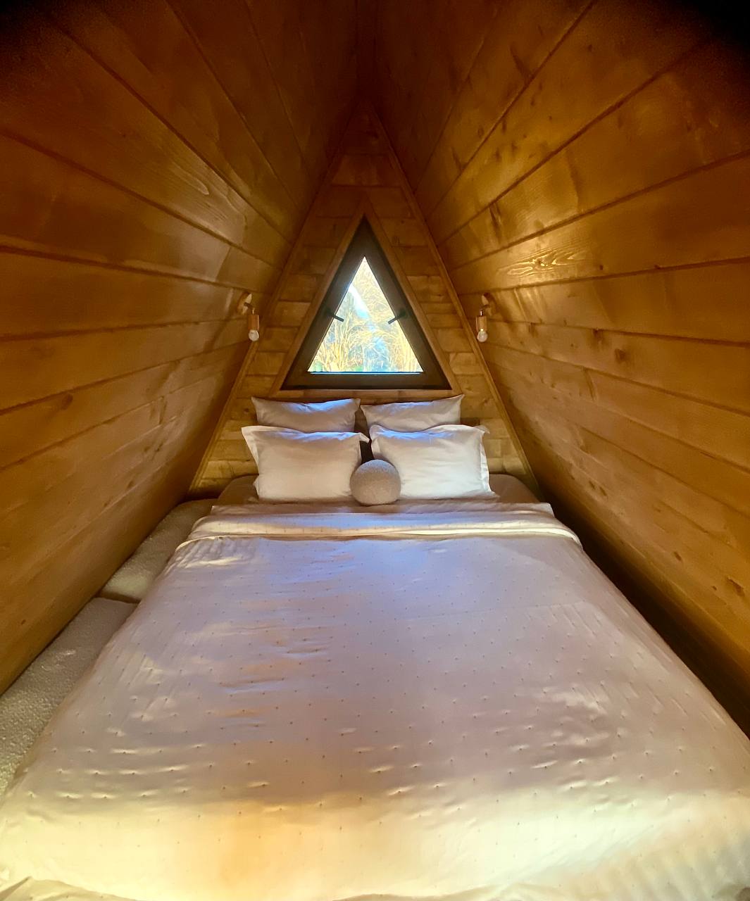 Фото Гнездо