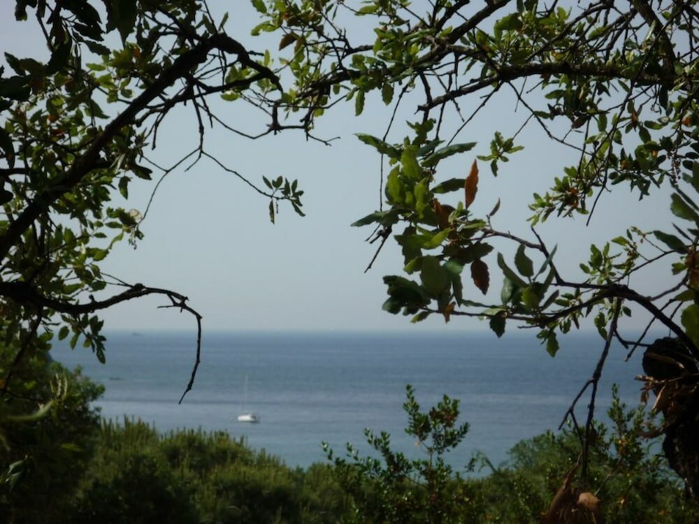 Фото Villa Colle Lido