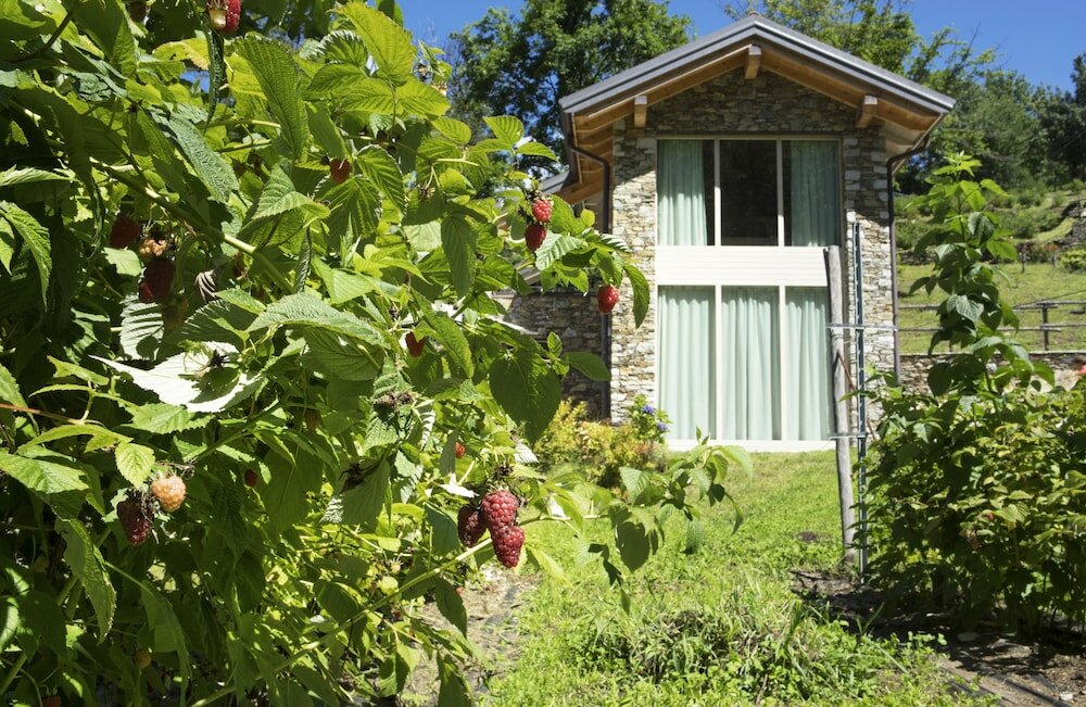 Фото Agriturismo Rossolampone