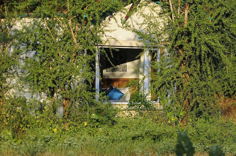 Фото Trees & Tigers