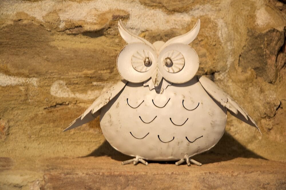 Фото Il Sogno di Tino