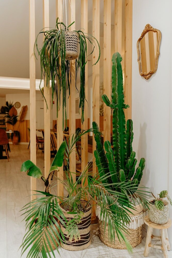 Фото Palm Hotel Nice