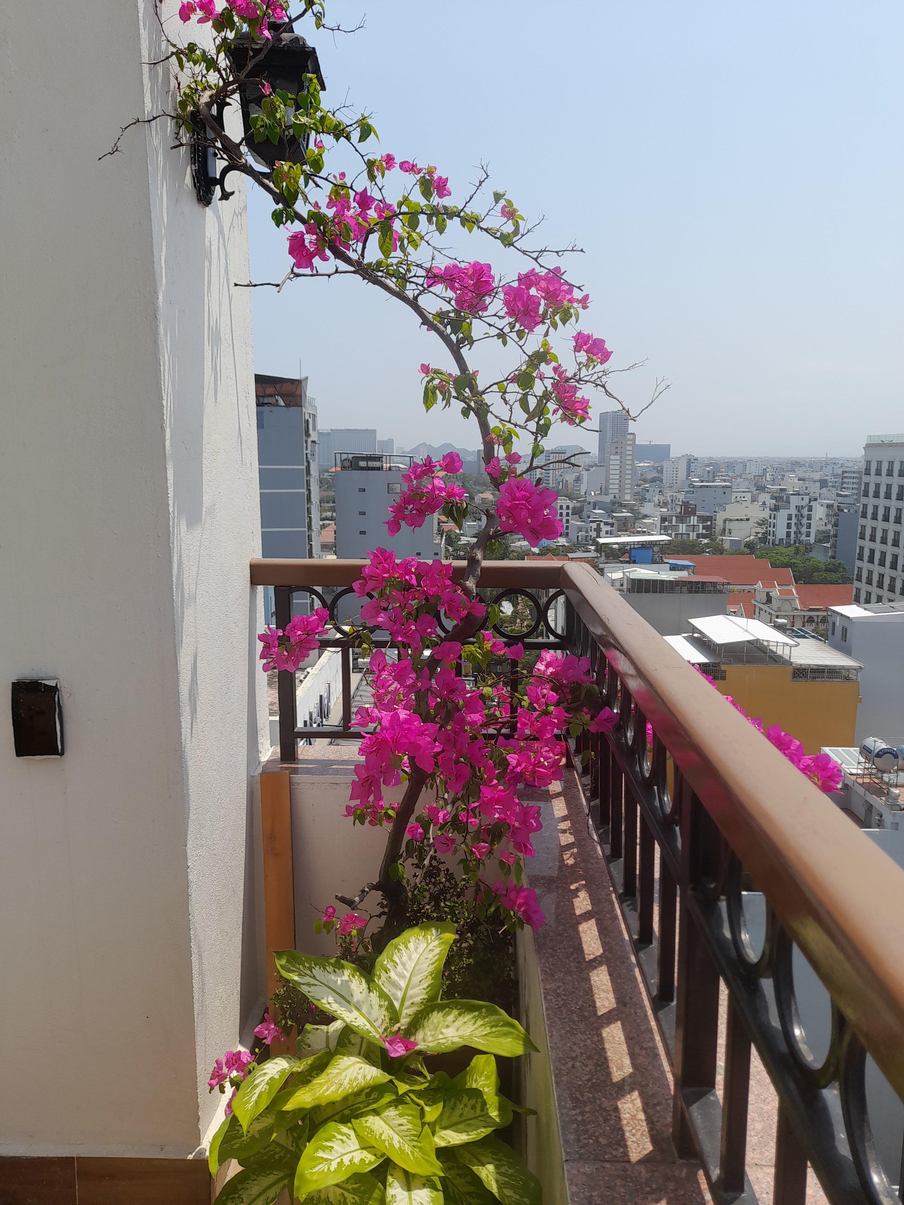 Фото Eco Green Boutique